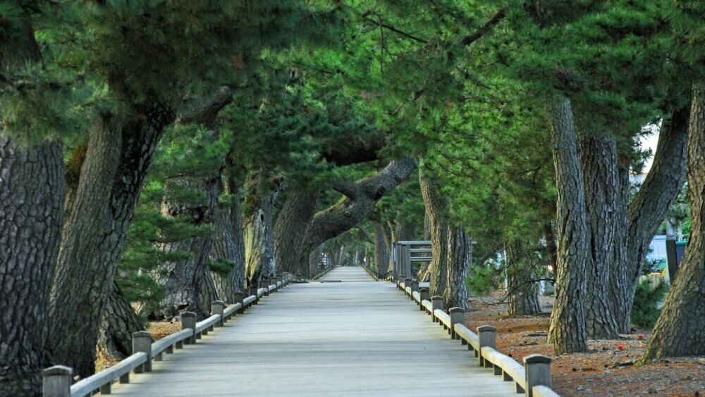 静岡県静岡市－三保松原